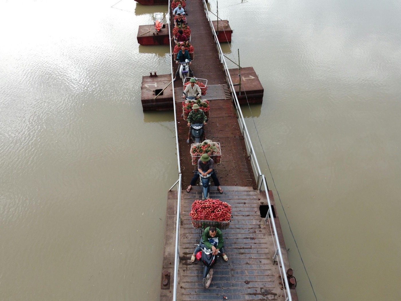 Island growers carrying baskets of fresh fruit across a pontoon bridge on motorbikes